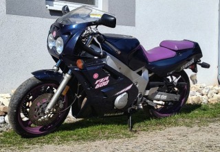 Yamaha FZR 600 Genesis