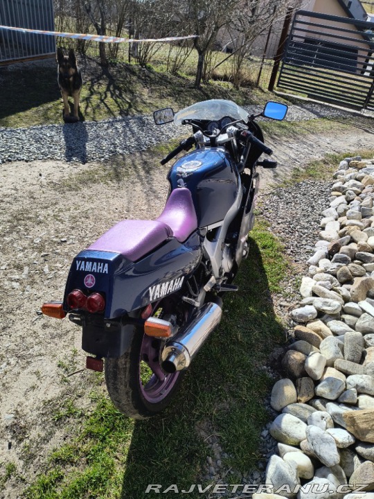 Yamaha FZ FZR 600 Genesis 1994