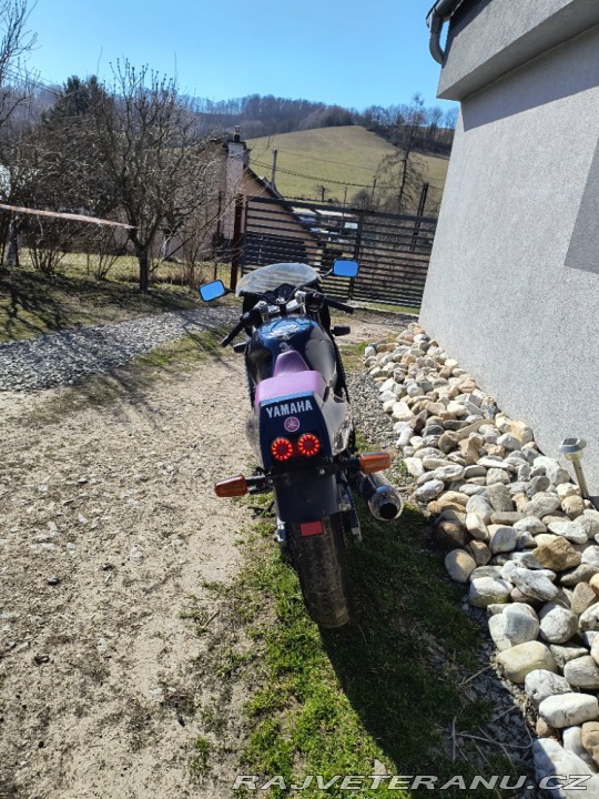 Yamaha FZ FZR 600 Genesis 1994