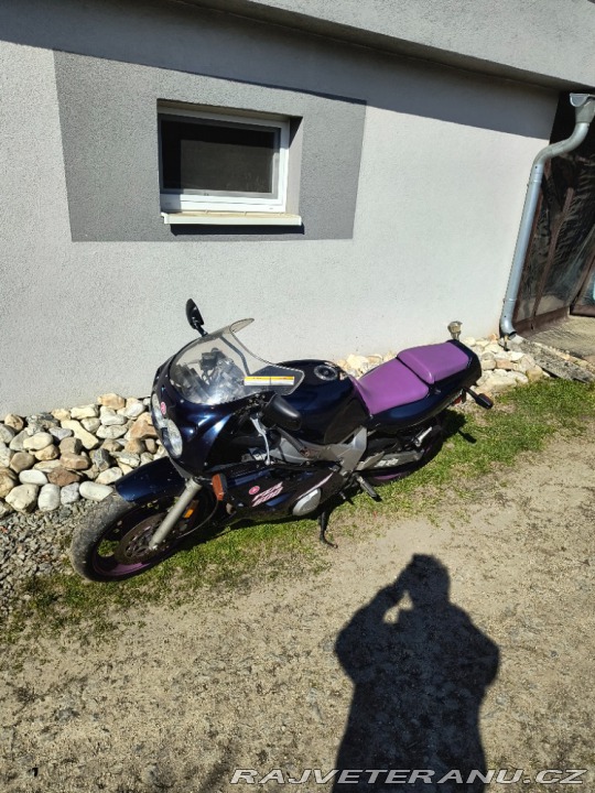 Yamaha FZ FZR 600 Genesis 1994