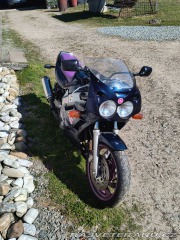 Yamaha FZ FZR 600 Genesis 1994