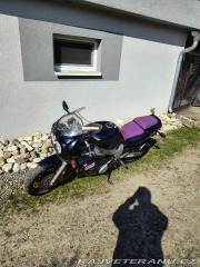 Yamaha FZ FZR 600 Genesis 1994