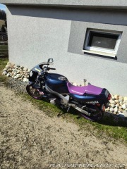 Yamaha FZ FZR 600 Genesis 1994