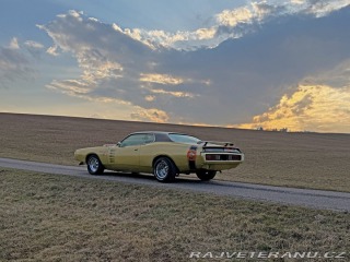 Dodge Charger  1974