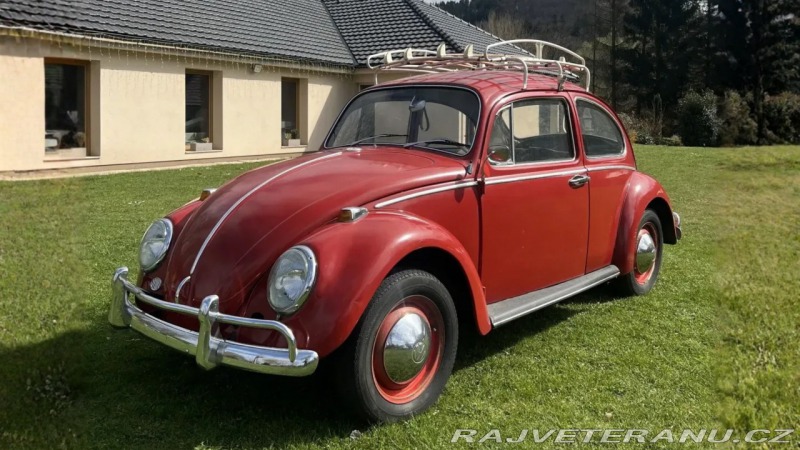 Volkswagen Brouk 
