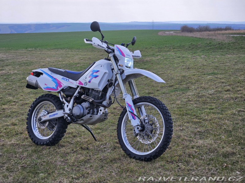 Yamaha Ostatní modely TT600S