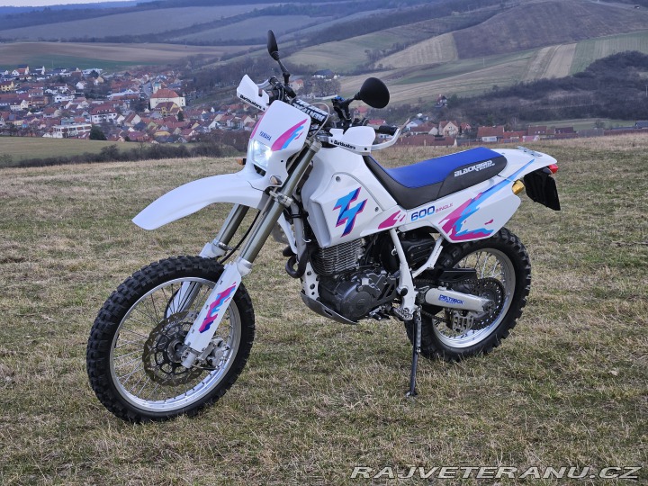 Yamaha Ostatní modely TT600S 1993