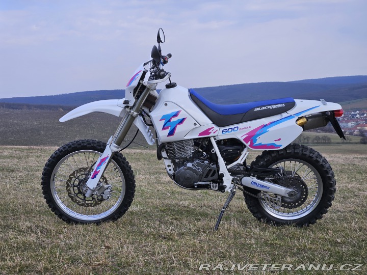Yamaha Ostatní modely TT600S 1993