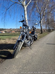Yamaha XV Virago 750 1994