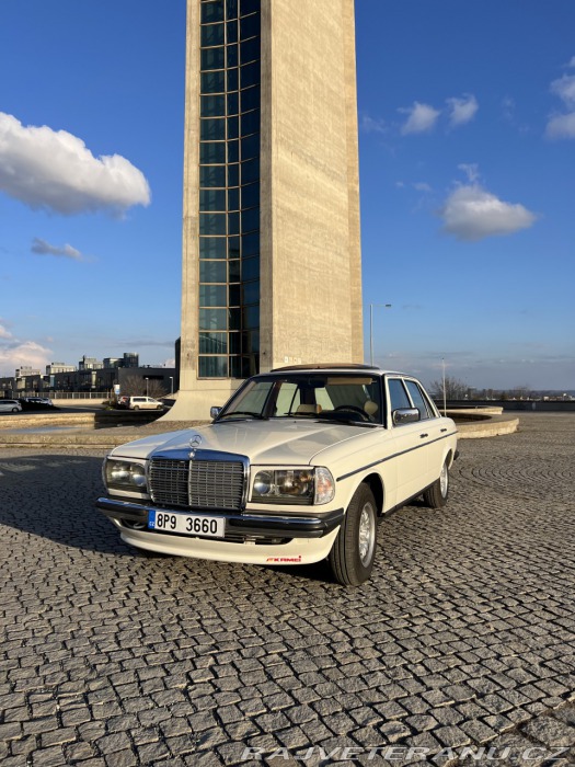Mercedes-Benz E W123 230E