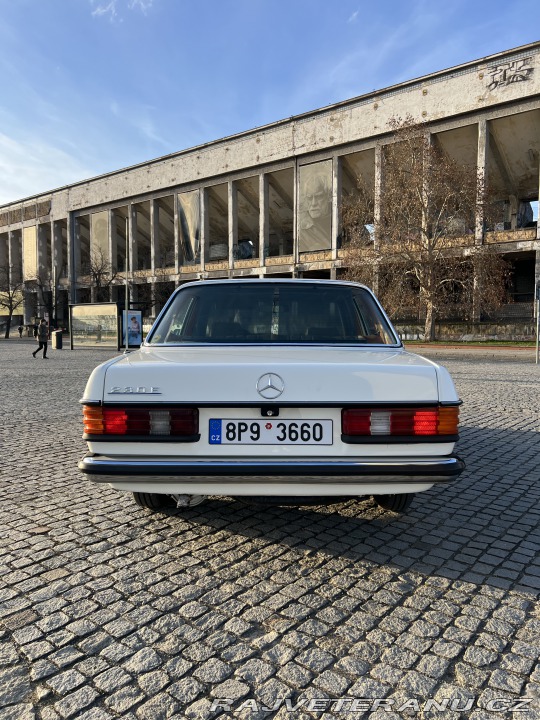 Mercedes-Benz E W123 230E 1982