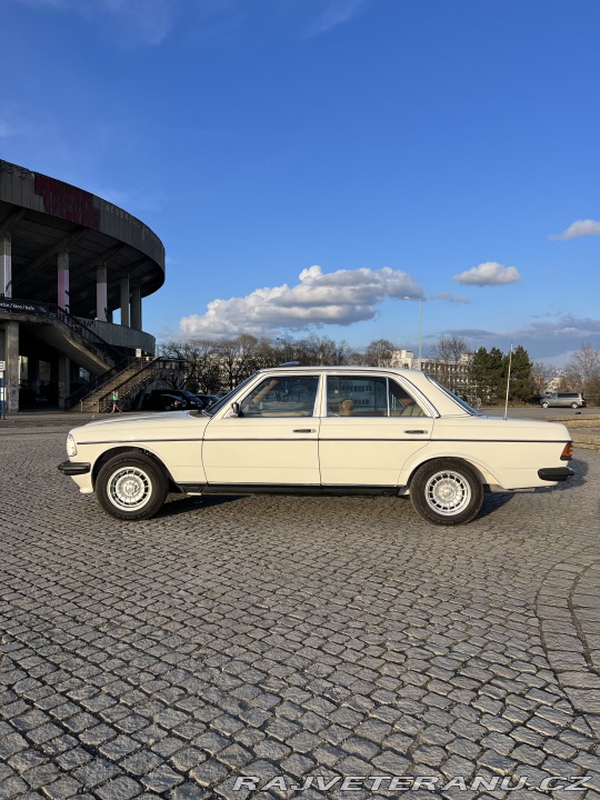 Mercedes-Benz E W123 230E 1982