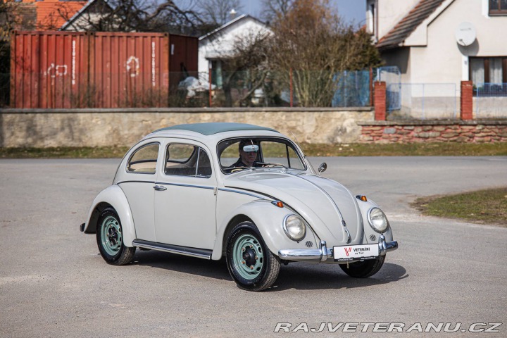 Volkswagen Brouk 1200 1960