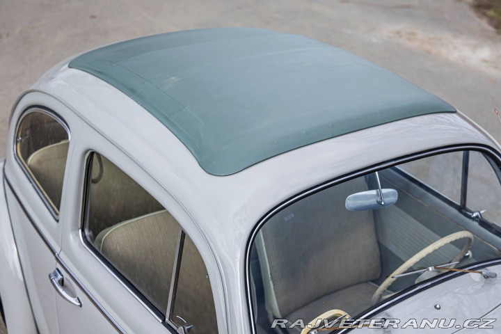 Volkswagen Brouk 1200 1960