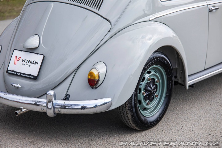 Volkswagen Brouk 1200 1960