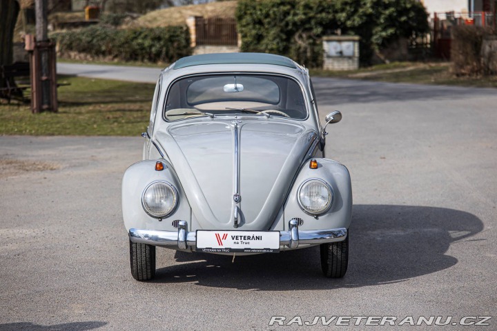 Volkswagen Brouk 1200 1960