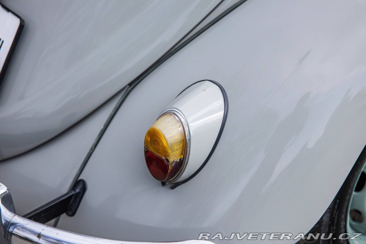 Volkswagen Brouk 1200 1960