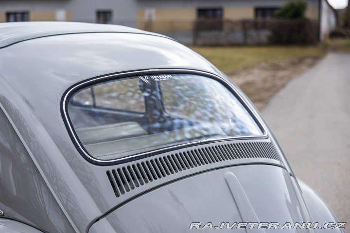 Volkswagen Brouk 1200 1960