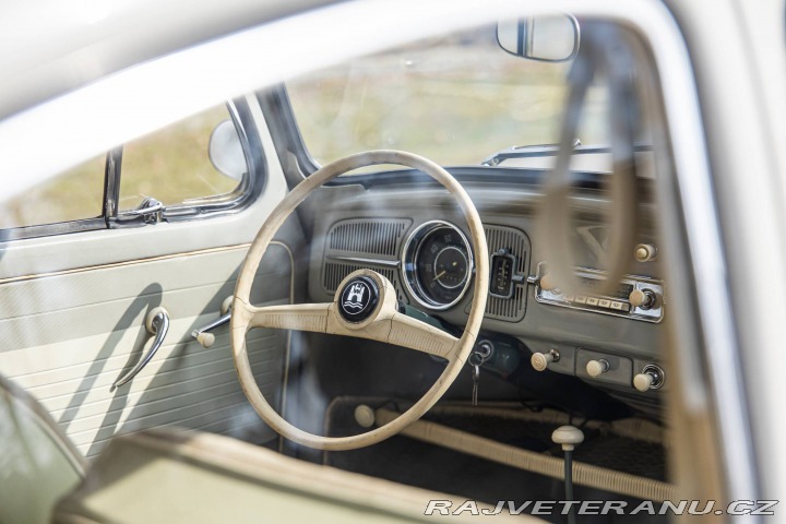 Volkswagen Brouk 1200 1960