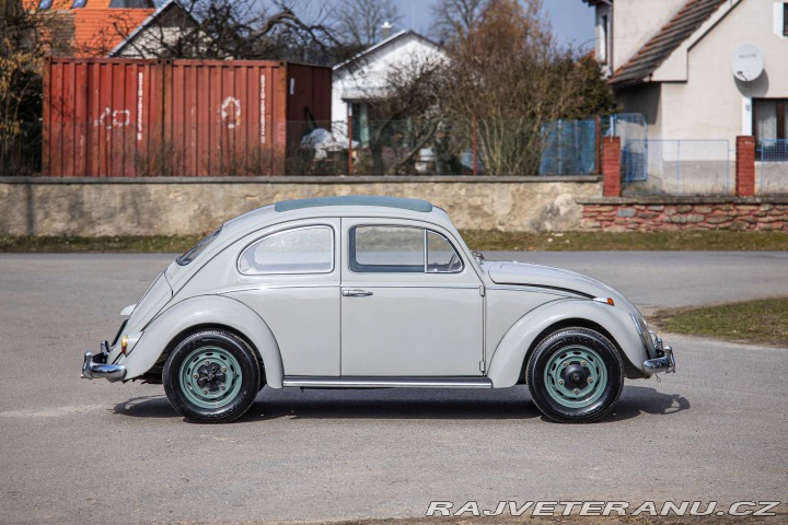 Volkswagen Brouk 1200 1960