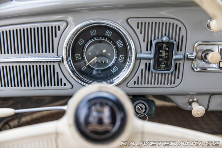 Volkswagen Brouk 1200 1960