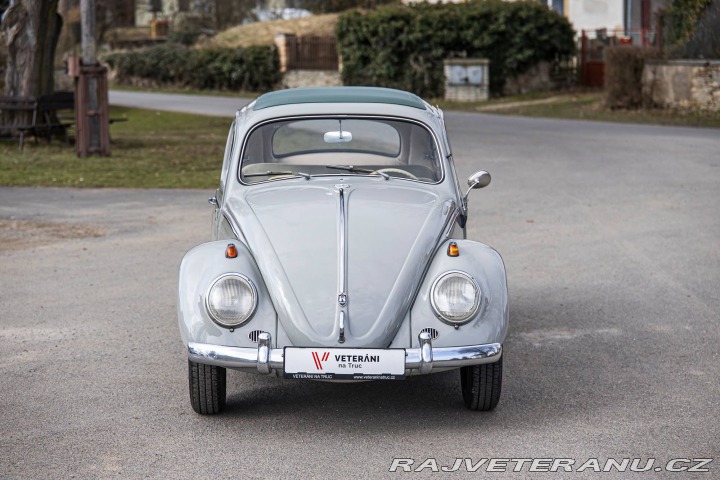 Volkswagen Brouk 1200 1960