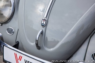 Volkswagen Brouk 1200 1960