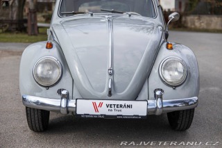 Volkswagen Brouk 1200 1960