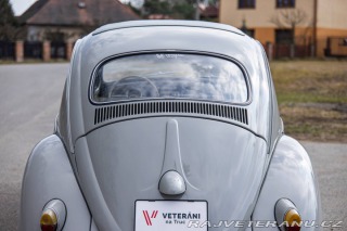 Volkswagen Brouk 1200 1960