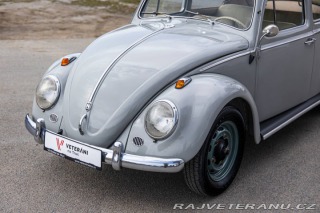 Volkswagen Brouk 1200 1960