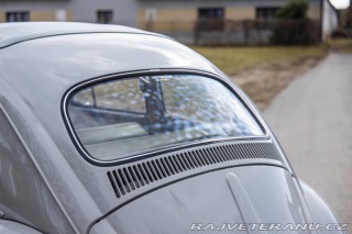 Volkswagen Brouk 1200 1960