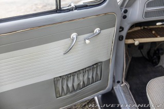 Volkswagen Brouk 1200 1960