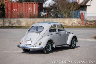 Volkswagen Brouk 1200 1960