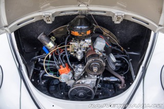 Volkswagen Brouk 1200 1960