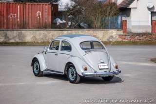 Volkswagen Brouk 1200 1960