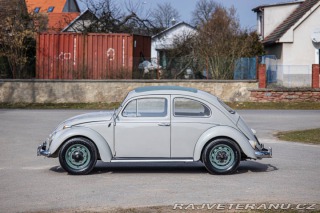 Volkswagen Brouk 1200 1960