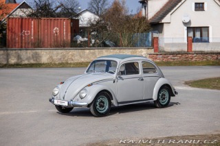 Volkswagen Brouk 1200 1960