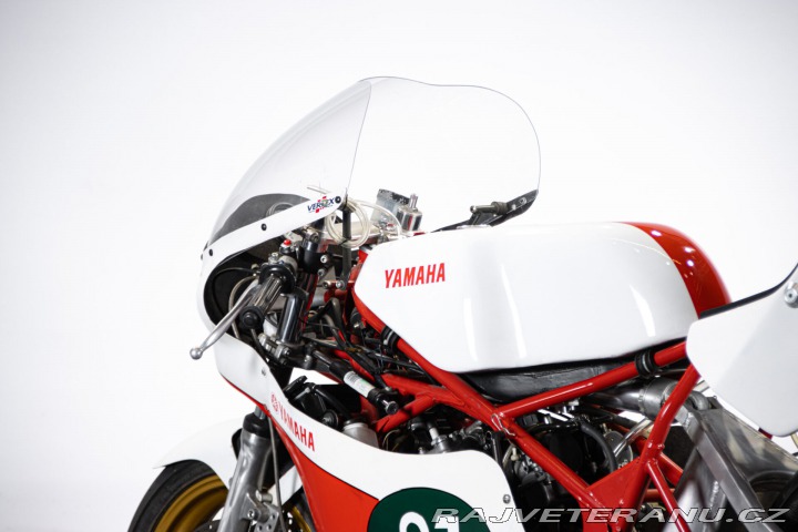 Yamaha Ostatní modely TZ 250 GP 1979