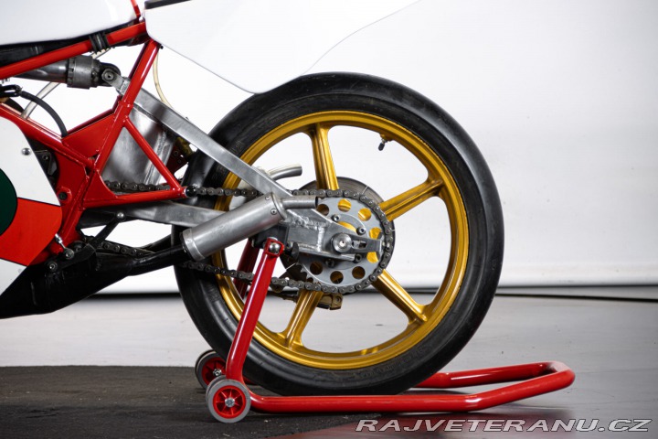 Yamaha Ostatní modely TZ 250 GP 1979