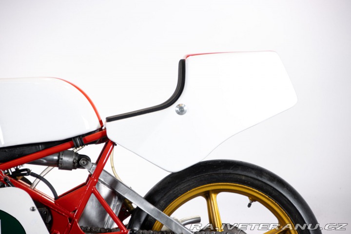 Yamaha Ostatní modely TZ 250 GP 1979