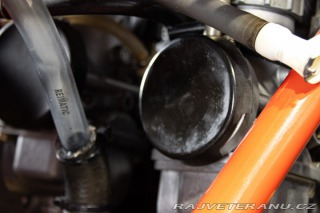 Yamaha Ostatní modely TZ 250 GP 1979