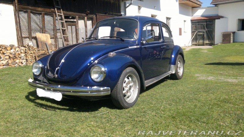 Volkswagen Brouk 1303