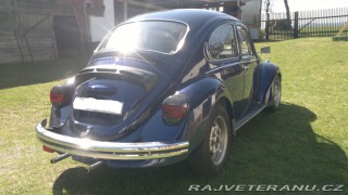 Volkswagen Brouk 1303 1972