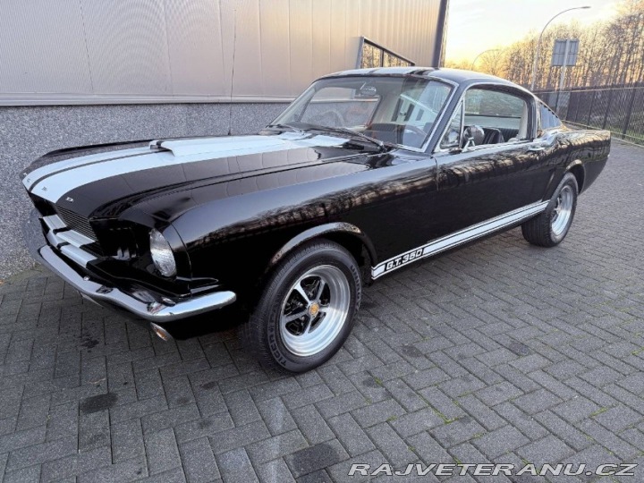 Ford Mustang Fastback 1966