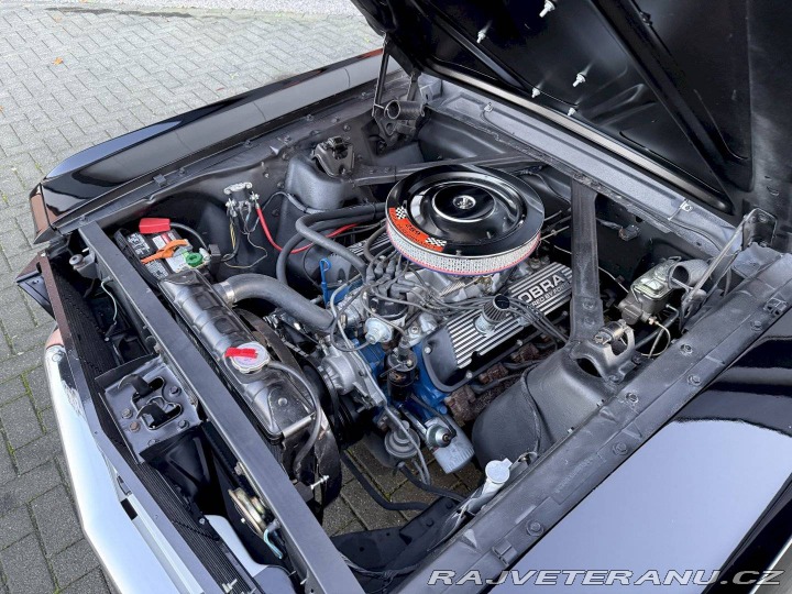 Ford Mustang Fastback 1966