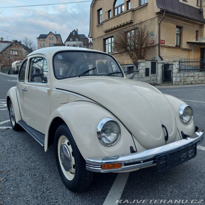 Volkswagen Brouk