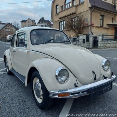 Volkswagen Brouk 
