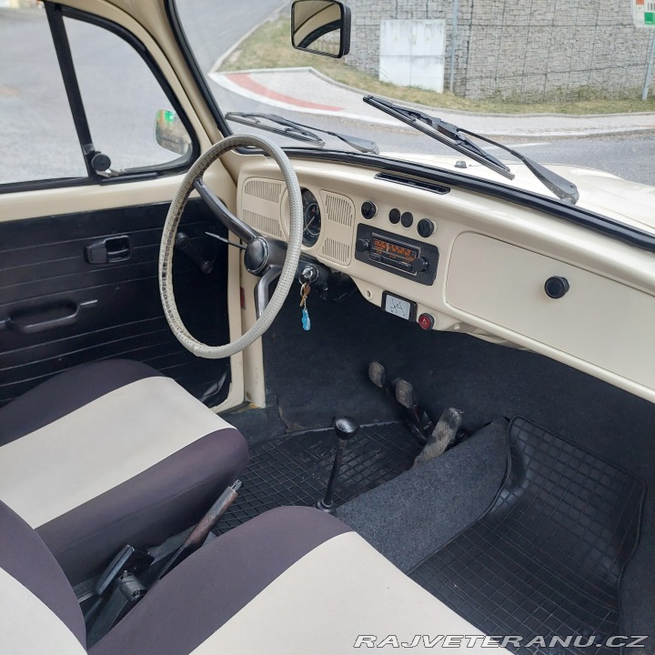 Volkswagen Brouk  1975