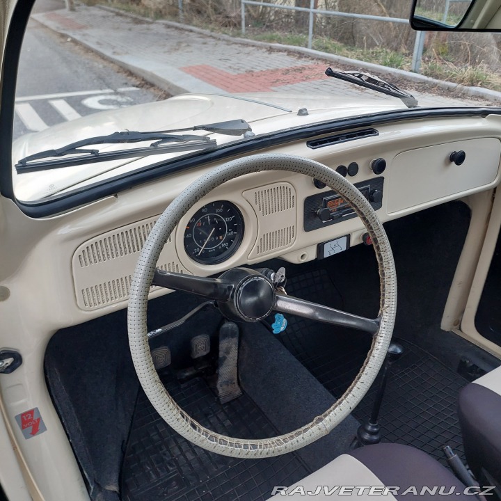 Volkswagen Brouk  1975