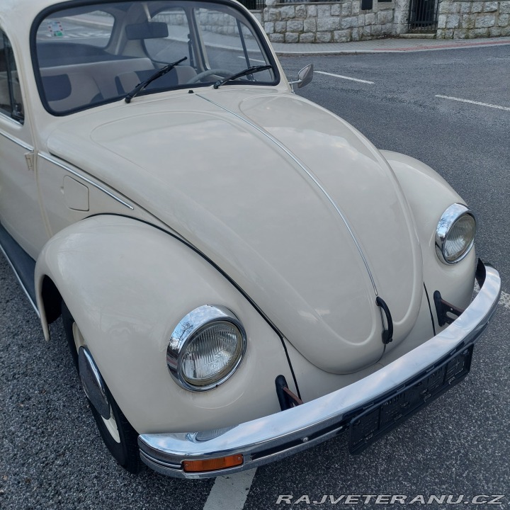 Volkswagen Brouk  1975